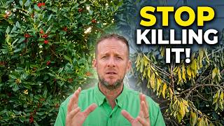3 Mistakes That Are Destroying Your Nellie R. Stevens Holly (And How to Fix Them)