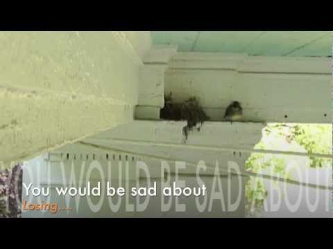 My story at Southborough L'abri.