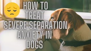 How To Treat Severe Separation Anxiety In Dogs .In a Natural Way. Hope you find it helpful?