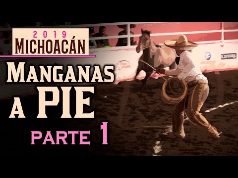 MANGANESE ON FOOT part 1 - Congreso Morelia 2019