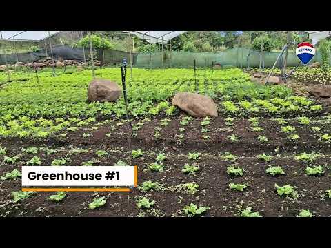 img-video