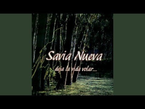 El Cantar Tiene Sentido