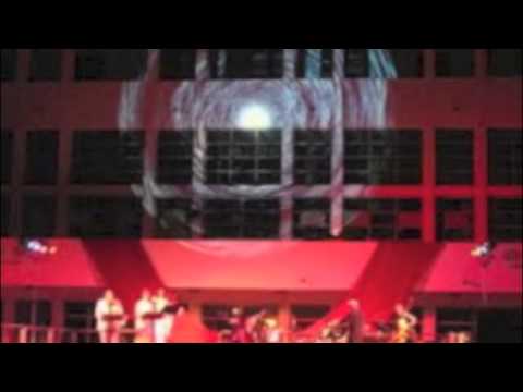 Il Fuoco ( Il Discorso di Effrena) S.Taglietti 2013