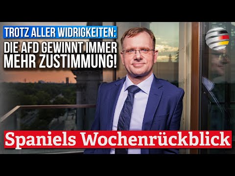Trotz aller Widrigkeiten: Die AfD gewinnt immer mehr Zustimmung! | Dirk Spaniel (AfD)