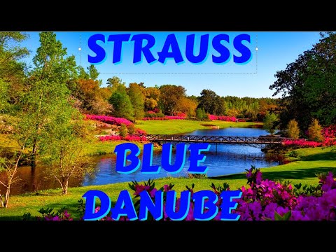 The Blue Danube Waltz by Johann Strauss II  ~ 3 Hours Relaxing Classical Music for Stress Relief
