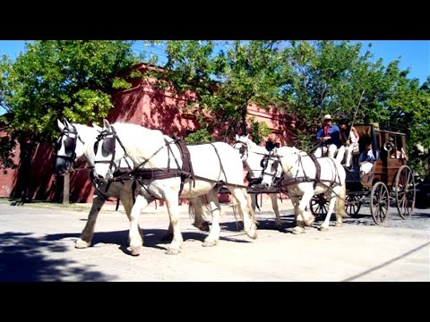 San Antonio de Areco - Desfile de carruajes