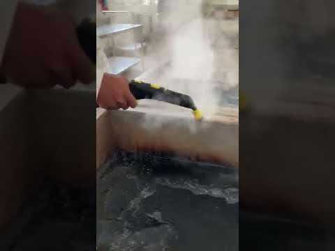 Steam Cleaners