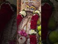 I Was At Your Door In The Previous Year Too Trendingshorts Hindudeity Viralshort2025 Mah
