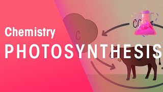 Photosynthesis and respiration | Chemistry for All | The Fuse School