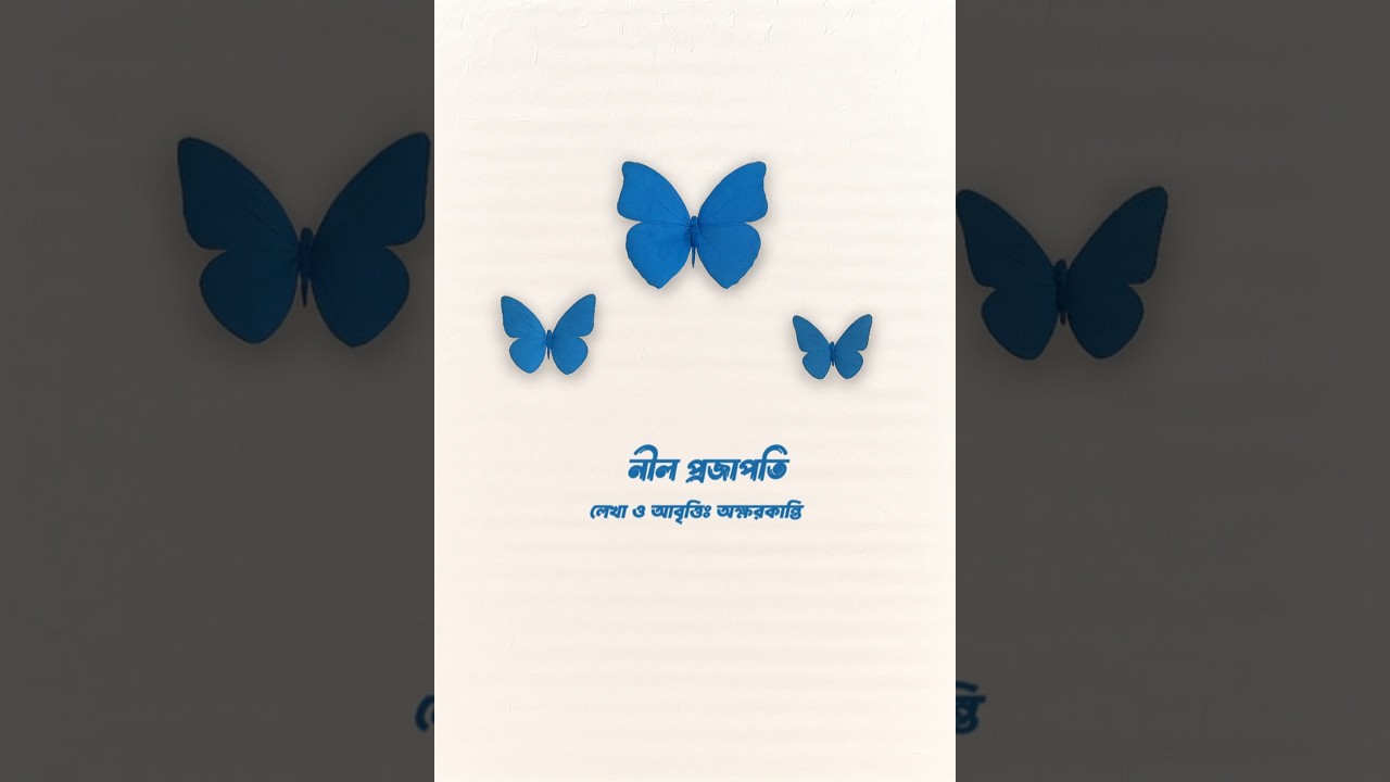 নীল প্রজাপতি