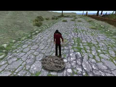 Juan and the Magic Tree