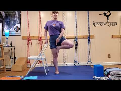 Iyengar Yoga Level 1 Sequence 1 (#1 of 2)