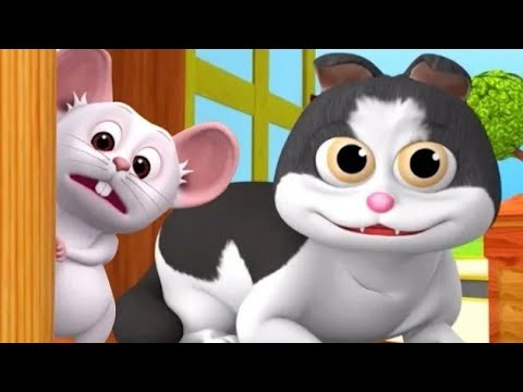 Billi Karti meow meow 🙀 Full HD cat video #catvideos