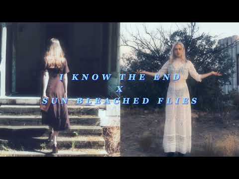 I Know The End x Sun Bleached Flies (ft. Ptolomaea) Phoebe Bridgers & Ethel Cain Mashup