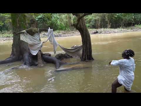 Join us in Nigeria for the 2024 Osun Festival. Visit Danfo.Africa  #naija #nigeria #osun  #osogbo