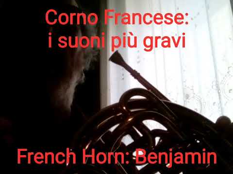 Lezione di Corno: i suoni più gravi - French Horn: Benjamin