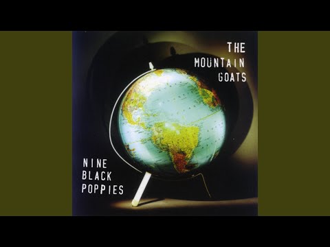 Stars Fell On Alabama