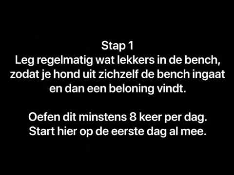 Benchtraining hondenschool kersten