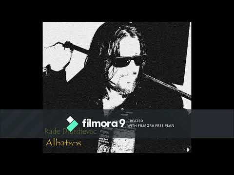 Rade Djurdjevac - Albatros