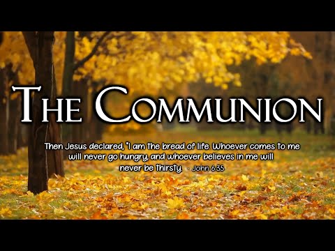 The Communion (Lyrics) - Michael Davis | Decibel Worship