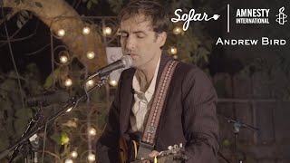 Andrew Bird - Plasticities | Sofar Los Angeles - GIVE A HOME 2017