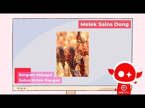 , title : 'Sorgum Sebagai Solusi Krisis Pangan - Melek Sains Dong #4'