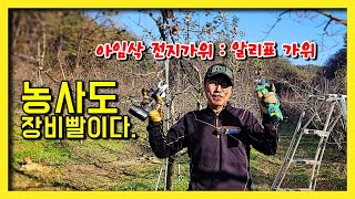 농사도 장비발 이다. 국산 아임삭 전지가위와 알리표 전지 가위 비교