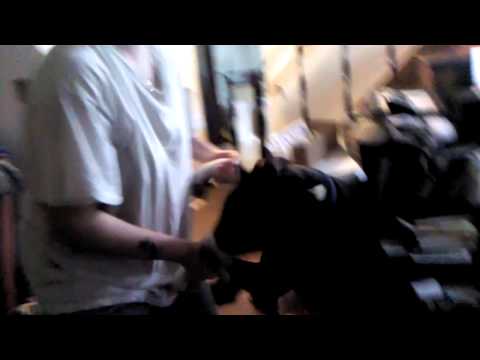 Mom dancing with spaz james bugaj films