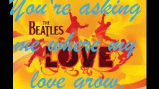The Beatles-Gnik Nus/ Something/ Blue Jay Way(transition) *lyrics*