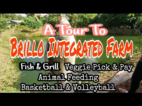 Brillo Integrated Farm Tour