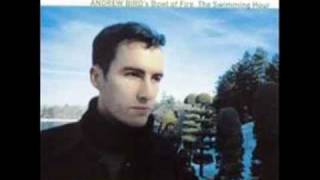 Andrew Bird's Bowl of Fire - How Indiscreet (HQ)