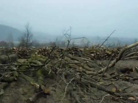 Composesorat satul Teiu , comuna Lapugiu de Jos