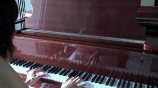 The Things You Are to Me- Secret Garden Piano Cover