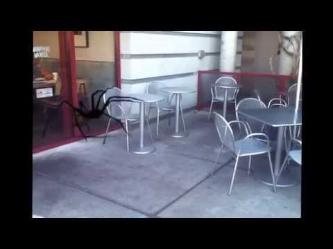 Giant spider Attacks restaurant