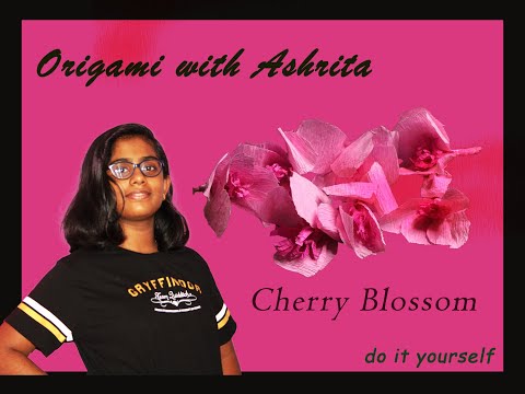 Origami with Ashrita Origami with Ashrita let us make cherry blossom flowers