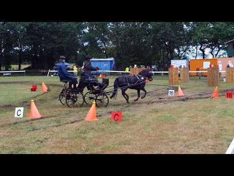 Fahrturnier Uplengen/Hollsand 11.8.2018