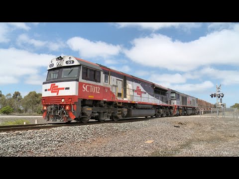 1PM9 SCT Mixed Freight Train At Railway Crossing (4/1/2024) - PoathTV Australian Railroads