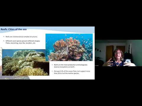Episode 6: Tales from the reef: The impact of environmental change on corals