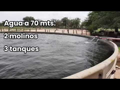 Campo en Venta | 2250 Ha. Ganadero - Carro Quemado, La Pampa