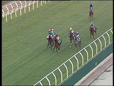 Galoppo 21/02/2017 - 4ª corsa