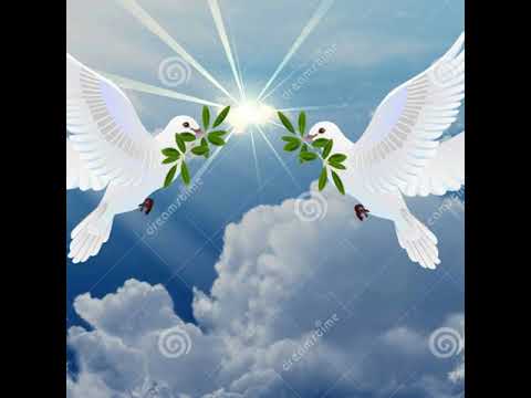 Una Paloma volo 🎧Julio Elias Camey