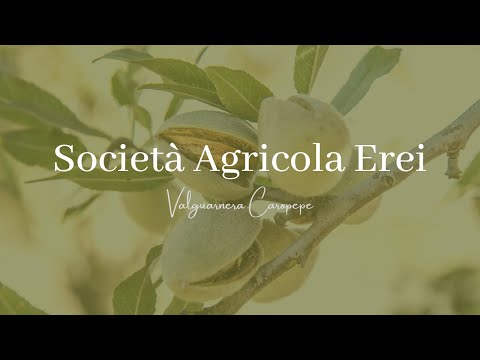 Società Agricola Erei Valguarnera Caropepe
