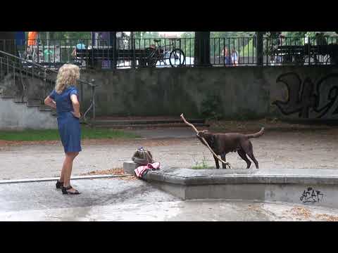 München und die Isar 2013