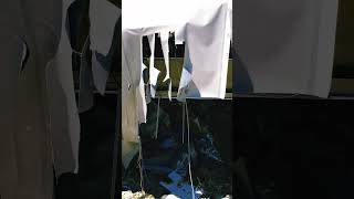 It’s sad seeing the effect of change #dyingretail