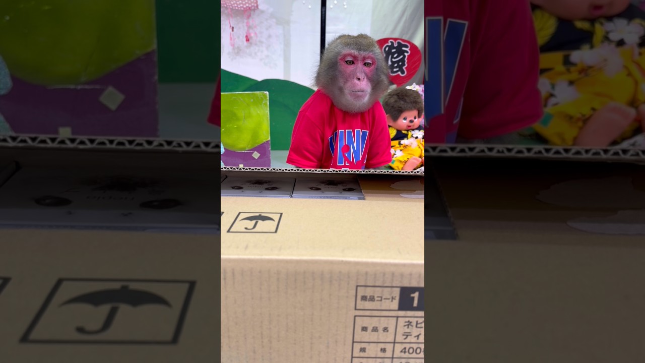 鼻セレブで僕セレブ