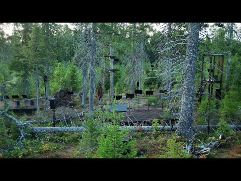 TREE OPERA Trailer - NYBFF 2021