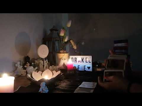 Die Rappelkiste 9.8.