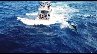 SHIMANO TV 村田基 巨大カジキを追う