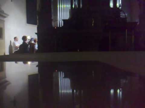 Zardini, Celebriamo il Signore