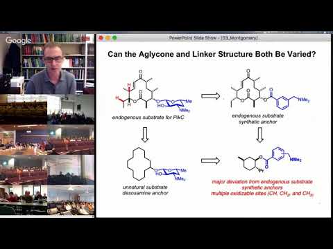 CCHF-VS 8.3 | Prof. Montgomery: Small Molecule and Biological Catalysis in C–H Activation